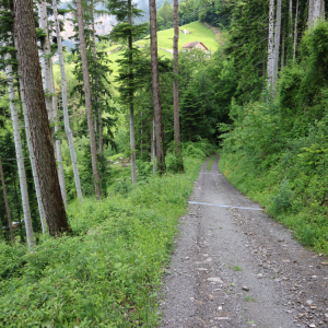 07_Kohlplatz