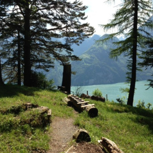Aussicht_Buggi